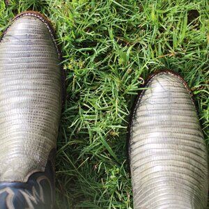 🦎 Panhandle Slim Teju Lizard Cowboy Boots Green Grey 10.5 D